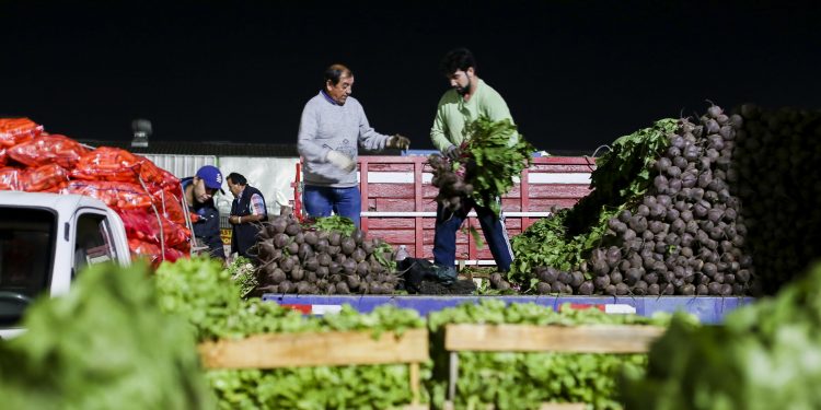 164 pequeños agricultores alcanzan ventas por 17.360 millones de pesos mediante convenio INDAP-Lo Valledor