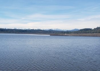 Afirman que julio fue un mes «inesperadamente» lluvioso, aunque no logra revertir el déficit de agua caída