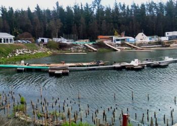 Esval robustece sistema productivo del Tranque La Luz beneficiando a 15 mil hogares de Placilla de Peñuelas