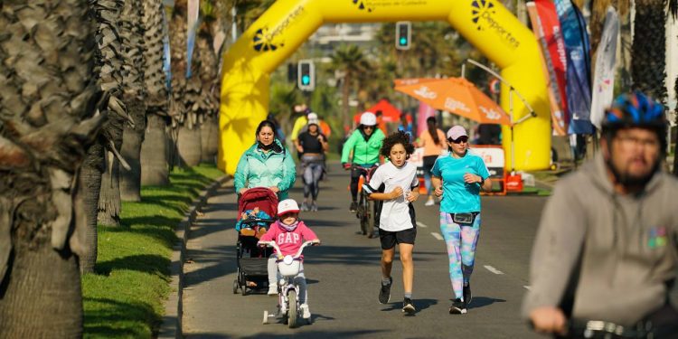 Viña decide: consulta ciudadana municipal busca definir futuro de «CicloRecreoVía» en la comuna