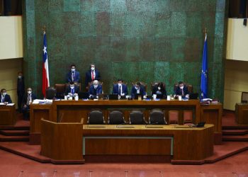 Se despacha a ley proyecto que aumenta la fiscalización y las sanciones al robo de madera