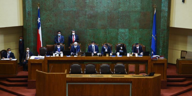 Se despacha a ley proyecto que aumenta la fiscalización y las sanciones al robo de madera