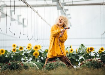 Obras de 22 países participarán en una nueva edición del 11° Festival de Cine Ojo de Pescado