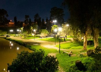 Viña del Mar: municipio refuerza seguridad de Tranque Forestal con nueva iluminación en el parque