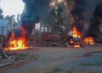 Desconocidos queman nueve máquinas en Capitán Pastene tras formalización de Llaitul