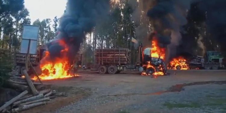 Desconocidos queman nueve máquinas en Capitán Pastene tras formalización de Llaitul