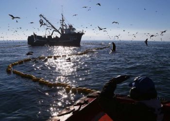 Abogan por la urgencia de una nueva ley de pesca