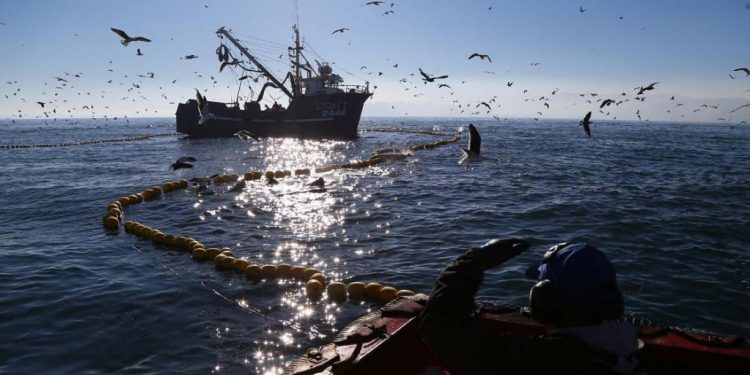 Abogan por la urgencia de una nueva ley de pesca