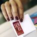 Servel publicará este sábado los datos electorales y adelanta que la mesa cambia para todos