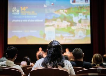 Películas de todo el país ya pueden postular al 15° Festival de Cine Chileno FECICH