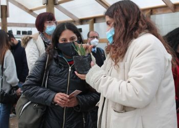 Mujeres de Puchuncaví junto a la UPLA trabajan para descontaminar suelos con planta nativa