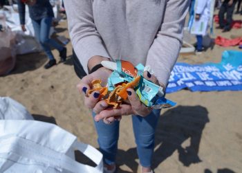 Día de limpieza de playas en Viña del Mar: realizan actividad educativa para generar conciencia sobre el cuidado de los océanos