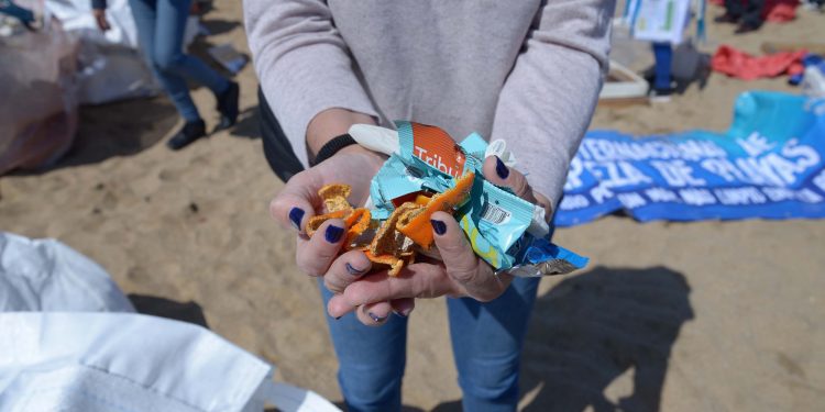 Día de limpieza de playas en Viña del Mar: realizan actividad educativa para generar conciencia sobre el cuidado de los océanos