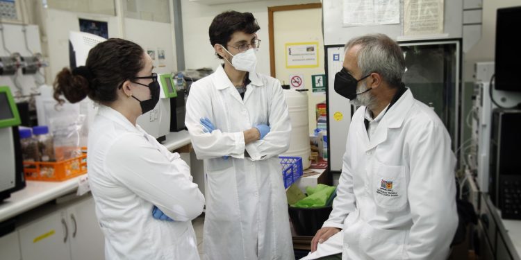 Decisión del Comité de Ministros respalda trabajo de universidades regionales en terreno de Las Salinas