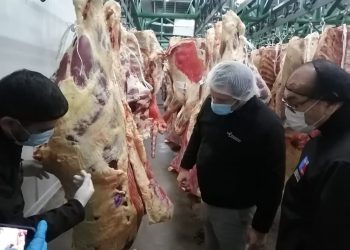 Operativo sanitario en la región: aumentan fiscalizaciones en la previa de las Fiestas Patrias