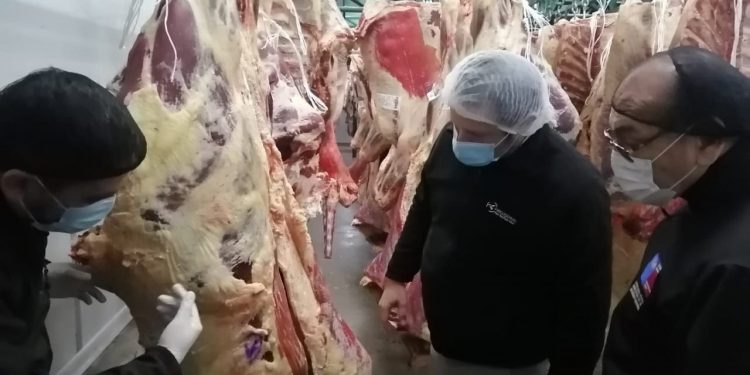 Operativo sanitario en la región: aumentan fiscalizaciones en la previa de las Fiestas Patrias