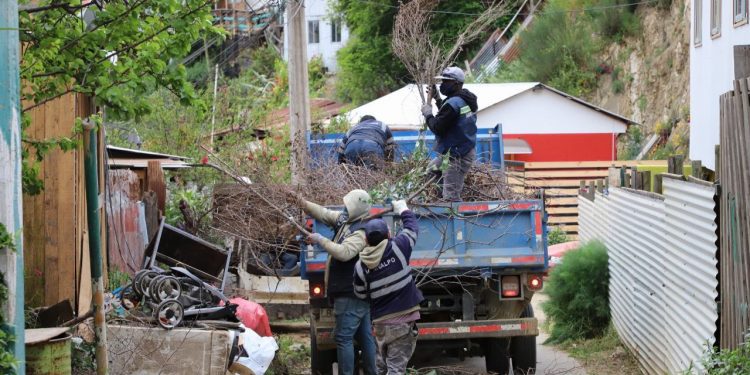 Retiran nueve toneladas de basura en sector de La Cantera en Cerro Ramaditas de Valparaíso