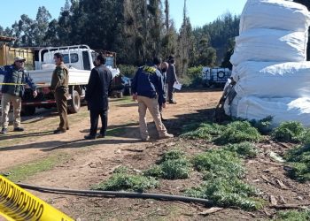 Macabro hallazgo en Quintay: un cadáver y un persona herida por impactos de bala