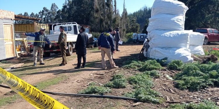 Macabro hallazgo en Quintay: un cadáver y un persona herida por impactos de bala