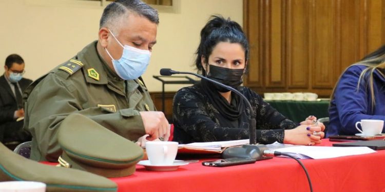 Delegada presidencial Sofía González avisa que «no descasará» hasta encontrar a los responsables de los crímenes de este fin de semana