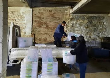 Municipio de Quilpué alista recursos para el Plebiscito de salida
