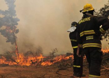 Servicios públicos y privados preparan estrategias para prevenir y combatir eventuales incendios forestales