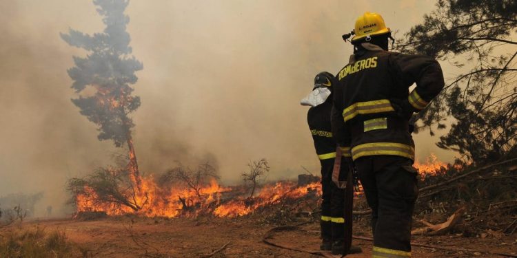 Servicios públicos y privados preparan estrategias para prevenir y combatir eventuales incendios forestales