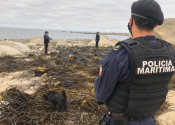 Armada comunica la desaparición de un joven que ingresó al mar en el sector de Las Lúcumas, en Playa Ancha