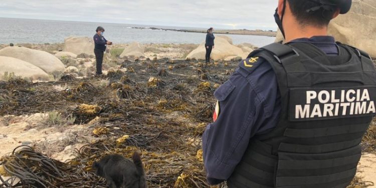 Armada comunica la desaparición de un joven que ingresó al mar en el sector de Las Lúcumas, en Playa Ancha