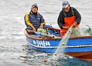 Hacia una Nueva Ley de Pesca: mañana comienzan los encuentros regionales con el sector