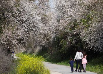 El tiempo / Pronóstico para mañana en toda la región