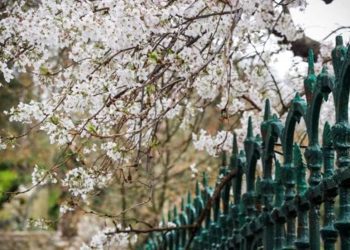El tiempo / Pronóstico para mañana en toda la región