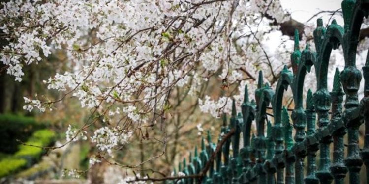 El tiempo / Pronóstico para mañana en toda la región