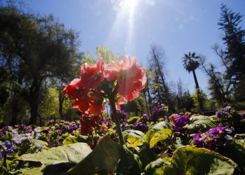 El tiempo / Pronóstico para mañana en toda la región