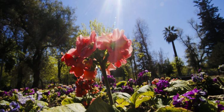 El tiempo / Pronóstico para mañana en toda la región