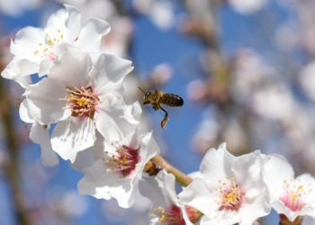 El tiempo / Pronóstico para mañana en toda la región