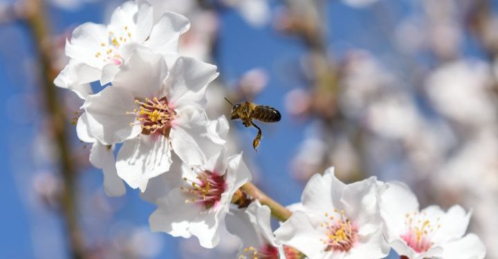 El tiempo / Pronóstico para mañana en toda la región