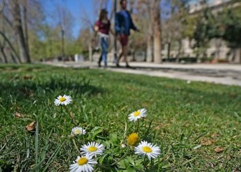 El tiempo / Pronóstico para mañana en toda la región