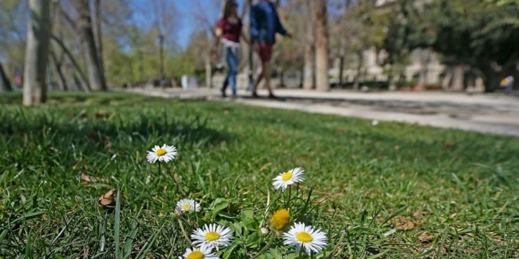 El tiempo / Pronóstico para mañana en toda la región