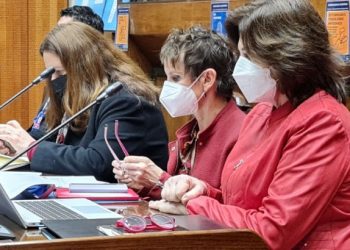 Renuevan estado de excepción en La Araucanía y provincias de Biobío y Arauco