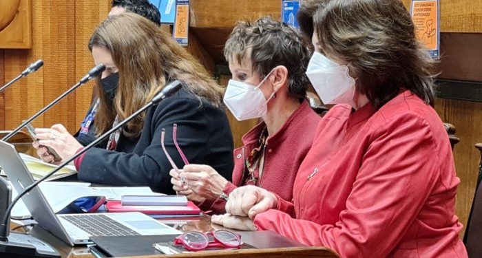 Renuevan estado de excepción en La Araucanía y provincias de Biobío y Arauco