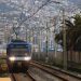 Gerente de EFE sobre tren Valparaíso- Santiago: «Es importante que públicos y privados sigan trabajando en equipo»