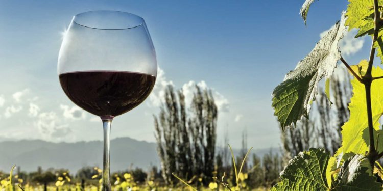 Parte concurso Corfo que presenta las mejores viñas emergentes y experiencias enoturísticas de nuestro país