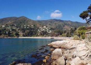 Reportan caída de helicóptero en Zapallar: hay dos muertos por accidente aéreo