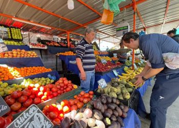 Feria Estero Marga Marga realizará intervención urbana en el epicentro comercial de Viña del Mar