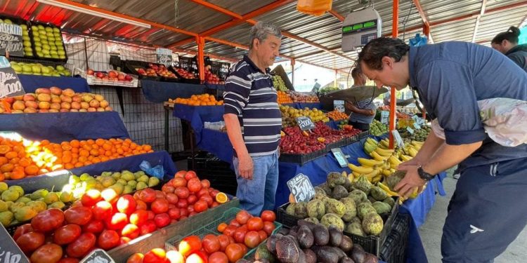 Feria Estero Marga Marga realizará intervención urbana en el epicentro comercial de Viña del Mar