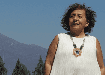 Concejala Eunice Navia e irregularidades administrativas en el municipio de La Cruz: «Es un daño a cada una de las personas de la comuna»