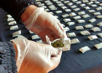 Funcionario de la Seremi de Agricultura de Tarapacá lideraba banda de tráfico de drogas: también fue candidato a concejal