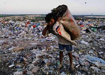 Pobreza en América Latina: niveles no vistos en cerca de 30 años