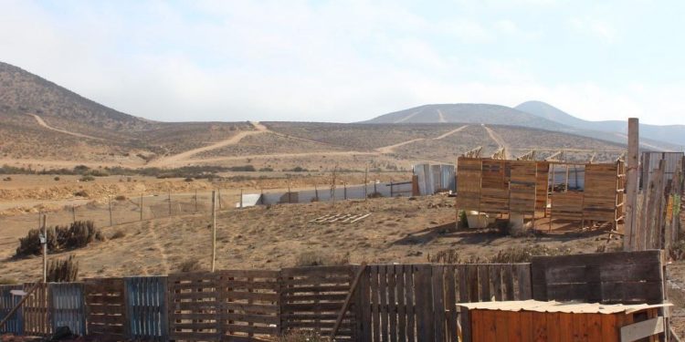 Inician estudio de proyecto que elimina el grado inferior de la pena por el delito de loteo irregular